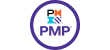 PMI-–-Project-Management-Professional.png