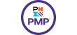 PMI-–-Project-Management-Professional-1.png